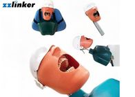 Οδοντικό προσομοιωτών οδοντικό εδρών μονάδων Detnal κεφάλι προσομοιωτών κατάρτισης διδασκαλίας πρότυπο με τη ζώνη